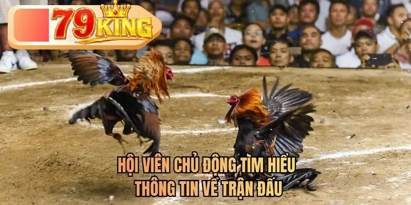 Hội viên chủ động tìm hiểu thông tin về trận đấu