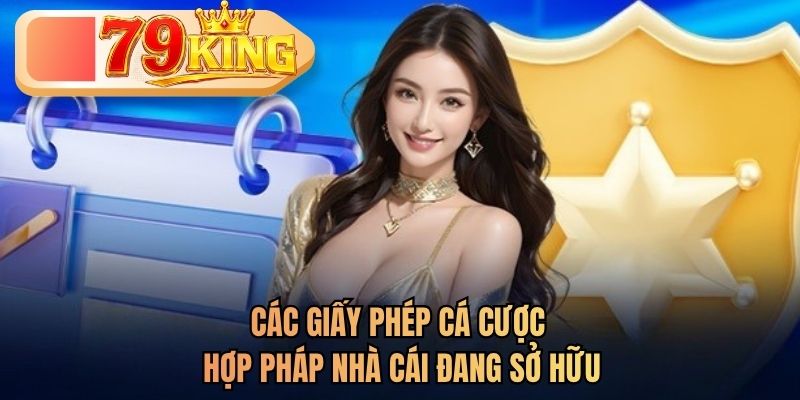 giấy phép sở hữu 79king