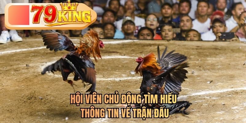 đá gà 79king
