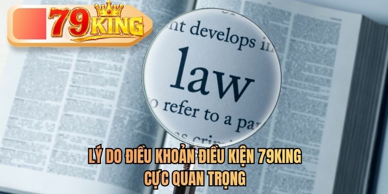 điều khoản điều kiện 79king