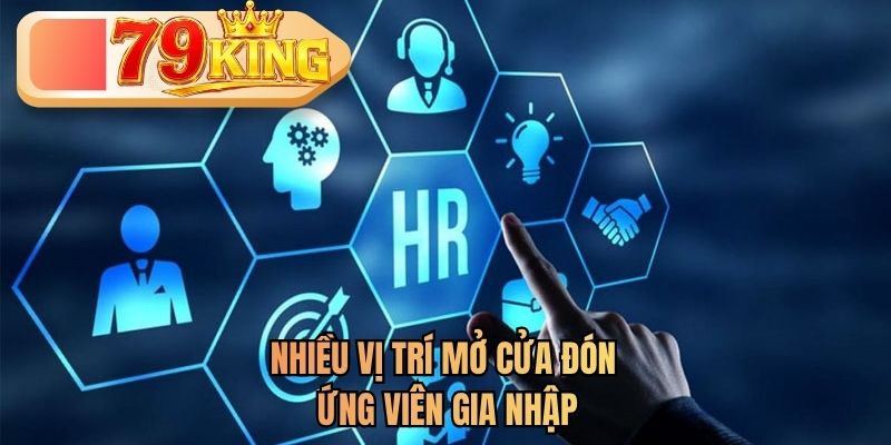 tuyển dụng king79